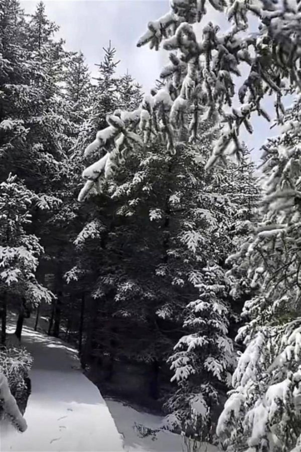 天盈配资 立夏节气下大雪？山西芦芽山关闭所有景点