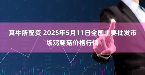 真牛所配资 2025年5月11日全国主要批发市场鸡腿菇价格行情
