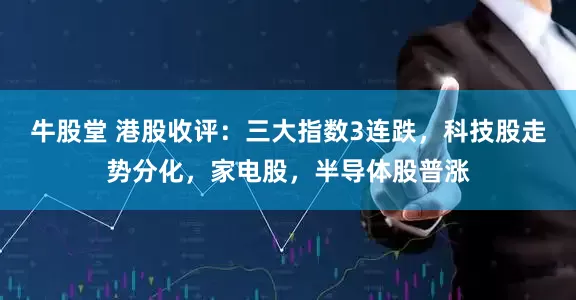 牛股堂 港股收评：三大指数3连跌，科技股走势分化，家电股，半导体股普涨