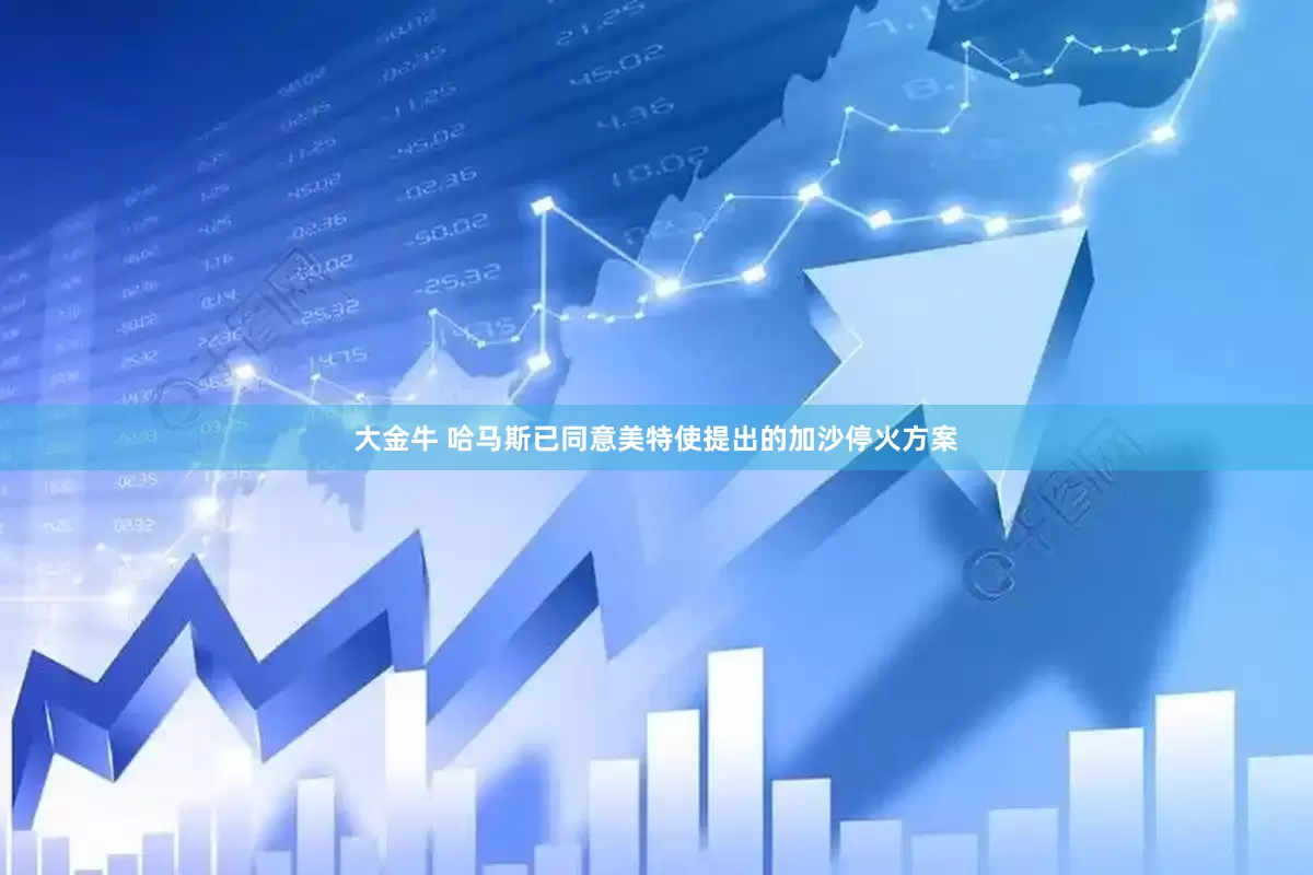 大金牛 哈马斯已同意美特使提出的加沙停火方案