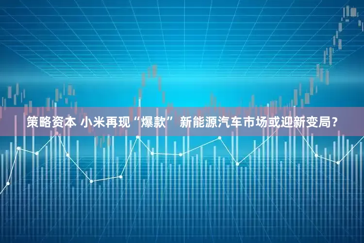策略资本 小米再现“爆款” 新能源汽车市场或迎新变局？