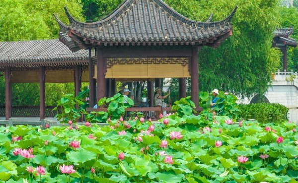 易富配资 ​最美的风景，永远属于人民：从“百湖之市”到“千园之城”的绿色答卷